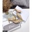 Dior D-Dior Heel 7.5cm Mules Mesh Nude 2021
