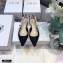 Dior J'Adior Slingback Ballerina Flats Technical Fabric Black 2021