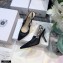 Dior Heel 9.5cm J'Adior Slingback Pumps Mesh Embroidery Black 2021