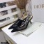 Dior Heel 6.5cm J'Adior Slingback Pumps Mesh Embroidery Black 2021