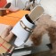 Hermes Heel 6cm Camilla Mules White 2021