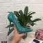 Dolce & Gabbana Heel 10.5cm Taormina Lace Pumps Green with Devotion Heart 2021