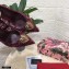 Dolce & Gabbana Heel 10.5cm Taormina Lace Pumps Burgundy with Devotion Heart 2021