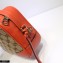 Gucci Bree Original GG Canvas Mini Messenger Bag 387360 Orange 2021
