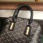 Goyard Vendome Mini Bag Black