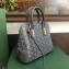 Goyard Vendome Mini Bag Gray