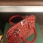 Goyard Vendome Mini Bag Red