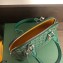 Goyard Vendome Mini Bag Green