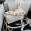 Chanel Crumpled Lambskin Small Hobo Bag AS2479 White 2021