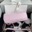 Chanel Crumpled Lambskin Small Hobo Bag AS2479 Light Pink 2021