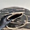 Prada Cleo Brushed Leather Shoulder Bag with Flap 1BD311 Beige 2021