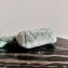 Prada Shearling Shoulder Bag 1BC151 Light Green 2021