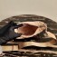 Prada Padded Nylon Shoulder Bag 1BC151 Beige 2021