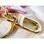 Louis Vuitton LV Rodeo Bag Charm and Key Holder M80243