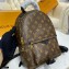 Louis Vuitton Monogram Canvas Palm Springs PM Backpack Bag M44871
