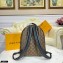 Louis Vuitton Monogram Canvas Palm Springs MM Backpack Bag M44874