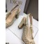 Dior Heel 9.5cm Moi Slingback Pumps Cannage Embroidered Mesh Creamy 2021