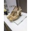 Dior Heel 9.5cm Moi Slingback Pumps Cannage Embroidered Mesh Beige 2021
