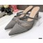 Dior Heel 7cm D-Choc Mules in Mesh Gray 2021
