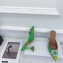 Amina Muaddi Heel 9.5cm Begum Mules Shadow Green