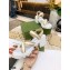 Gucci Lug Sole Sandals with Web 645776 White 2021