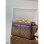 Louis Vuitton Monogram Canvas Discovery Backpack Bag M57965 LV Rubber Signature 2021