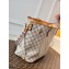 Louis Vuitton Damier Azur Canvas Neverfull MM Bag N50047 with Braided Strap 2021