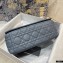 Dior Medium Caro Bag in Supple Cannage Calfskin Cloud Blue 2021