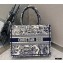 Dior Small Book Tote Bag in Toile de Jouy Embroidery Blue 2021