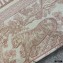Dior Book Tote Bag in Toile de Jouy Embroidery Pink 2021