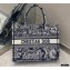 Dior Small Book Tote Bag in Toile de Jouy Reverse Embroidery Blue 2021