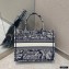 Dior Small Book Tote Bag in Toile de Jouy Reverse Embroidery Blue 2021