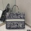 Dior Book Tote Bag in Toile de Jouy Reverse Embroidery Blue 2021