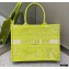 Dior Small Book Tote Bag in Toile de Jouy Reverse Embroidery Yellow 2021
