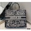 Dior Book Tote Bag in Black and White Around the World Embroidery 2021