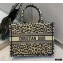 Dior Small Book Tote Bag in Beige Multicolor Mizza Embroidery 2021