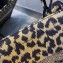 Dior Small Book Tote Bag in Beige Multicolor Mizza Embroidery 2021