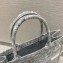 Dior Book Tote Bag in Toile de Jouy Reverse Embroidery Gray 2021