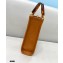 Fendi Leather Mini Sunshine Shopper Bag Brown 2021