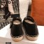 Dior Mesh Embroidery Caro Espadrilles Ballerina Flats Black 2021