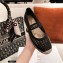 Dior Mesh Embroidery Caro Espadrilles Ballerina Flats Black 2021