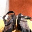 Louis Vuitton Heel Podium Platform Sandals Black 2021