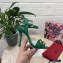 Dolce & Gabbana Heel 10.5cm Leather Chain Sandals Green 2021