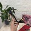 Dolce & Gabbana Heel 10.5cm Leather Chain Sandals Black with Baroque D&G Heel 2021