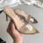 Gianvito Rossi Heel 10cm PVC Elle Mules Transparent Gold