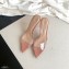 Gianvito Rossi Heel 10cm PVC Elle Mules Transparent Nude Pink