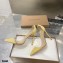 Gianvito Rossi Heel 10cm Plexi Pumps Suede Yellow