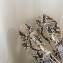 Jimmy Choo Alodie Flats Snake Printed Leather Sandals Gray 2021