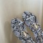 Jimmy Choo Alodie Flats Snake Printed Leather Sandals Blue 2021