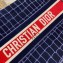 Dior Small Book Tote Bag in Crocodile-Effect Embroidered Velvet Blue 2021